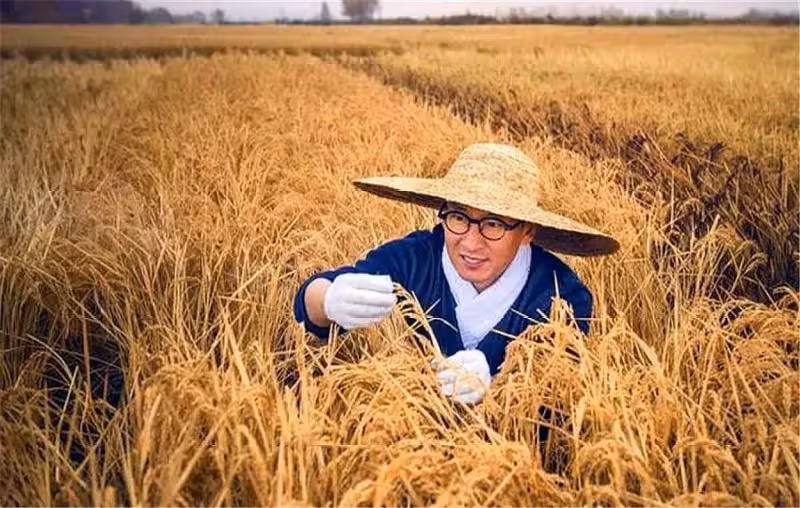 男神變農民!「爾康」退隱下地種植大米享田園生活,鄉下住宅與千畝良田構「巨幅太極圖」氣勢恢宏超壯觀