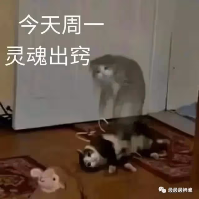 這就是現實中的美強慘吧……