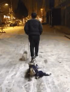 媳婦在閨蜜家過了一夜，嘴巴就這樣了！確定是去的閨蜜家？哈哈哈