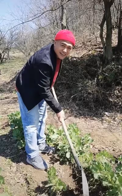 50歲戲骨黑子沒戲拍回鄉種地!在烈日下手拿鋤頭,種蠶豆笑容淳樸