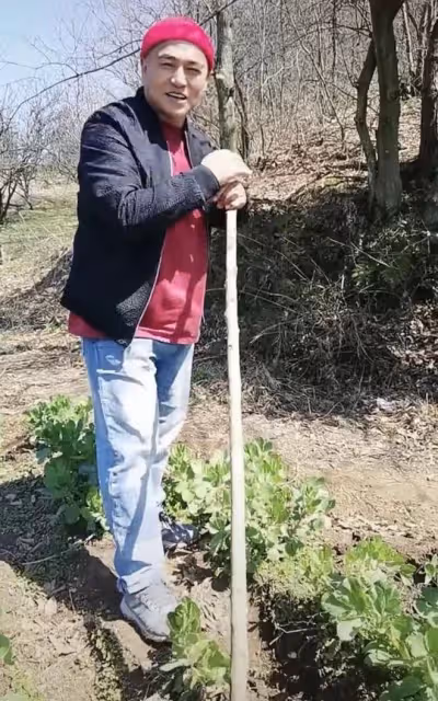 50歲戲骨黑子沒戲拍回鄉種地!在烈日下手拿鋤頭,種蠶豆笑容淳樸