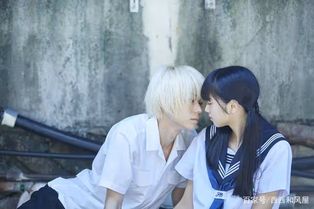 菅田將暉不願小松菜奈離開自己的視線，明星也會為愛煩惱