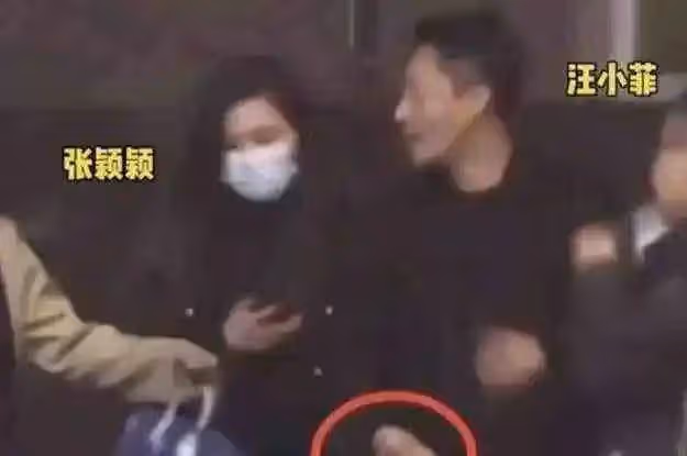 大S剛離怎麼又閃婚了?這次會是良配嗎?