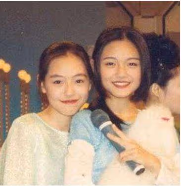 離婚第4個月,大S突然官宣再婚,曝出更多內幕:她的手段不簡單?