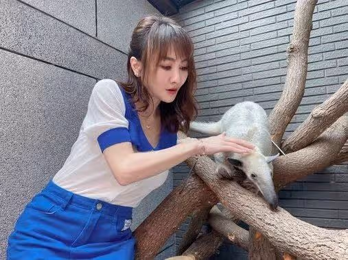 38歲財富女神豪宅被水淹，禍首竟是愛寵驢，曾花百萬為寵物建樂園