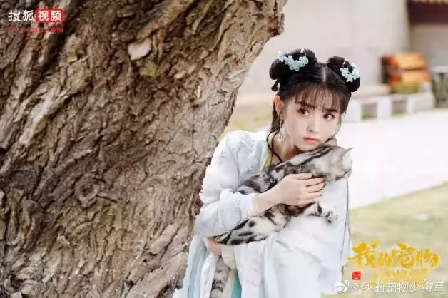 「田曦薇」介紹+7部必看陸劇!可愛初戀臉走紅,《姻緣大人請留步》高甜開播!