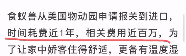 38歲財富女神豪宅被水淹，禍首竟是愛寵驢，曾花百萬為寵物建樂園