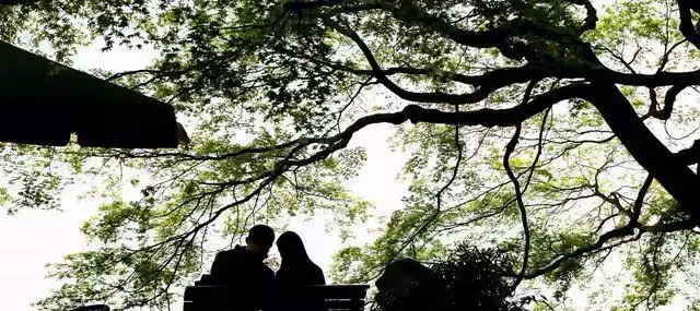 「你再不和我復婚,我就娶別的女人了」「對不起,我老公不讓」