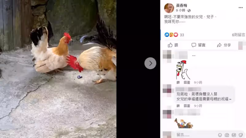 S媽飆罵準女婿!下最後通牒「別搶我女兒」母女翻臉 傳大S為他「全面退出演藝圈」經紀人回應了