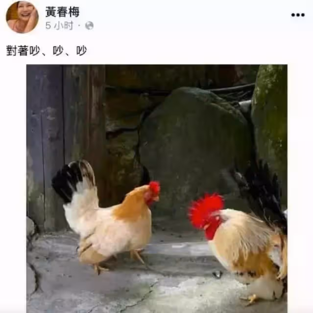 大S新婚身邊人態度大不同!眾星好友佩服她的勇氣,徐媽媽:啊呸
