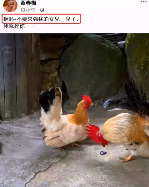 大S新婚身邊人態度大不同!眾星好友佩服她的勇氣,徐媽媽:啊呸