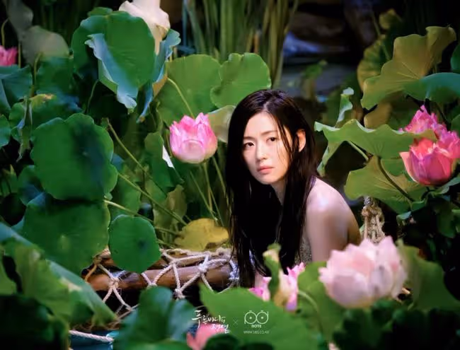 女明星40歲，韓流和內娛的處境為什麼不同？