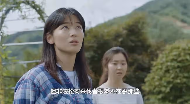 女明星40歲，韓流和內娛的處境為什麼不同？