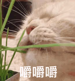 確實有些過於敏感了…