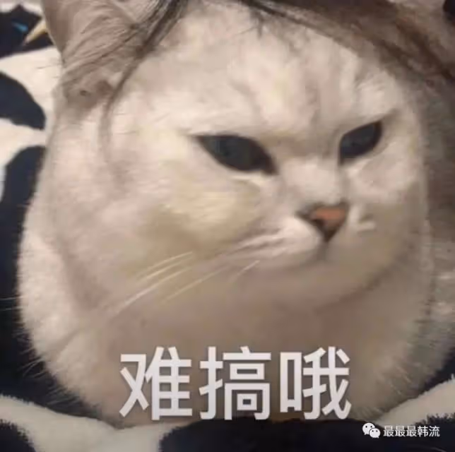 確實有些過於敏感了…
