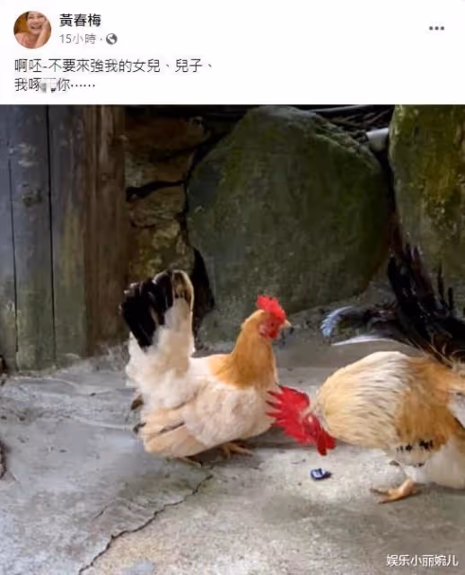 大S閃婚遭爆退出演藝圈, 經紀人做出了最新的回應