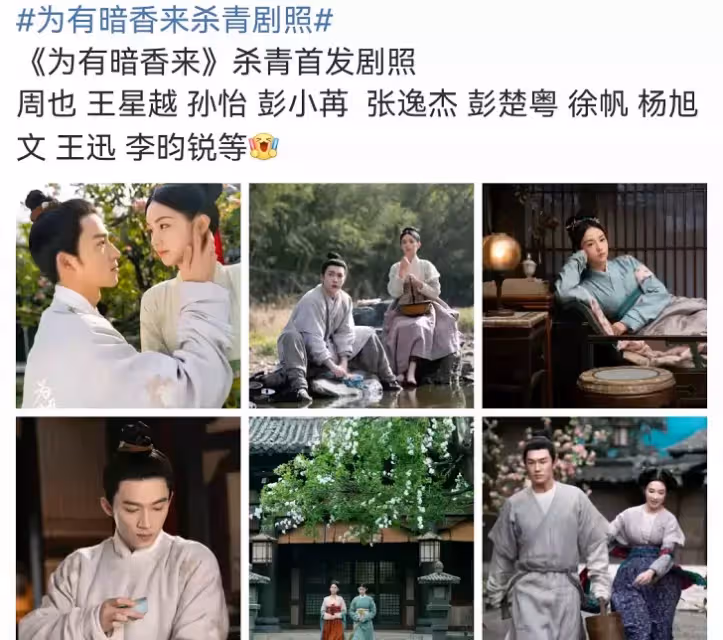 周也《為有暗香來》首發劇照,男主是劉子行,女配個個顏值高