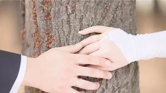 婚前房出租,婆婆竟要求收回給小叔結婚,兒媳:每月月租兩千