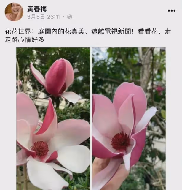 大S再婚這件事,越來越喜劇了