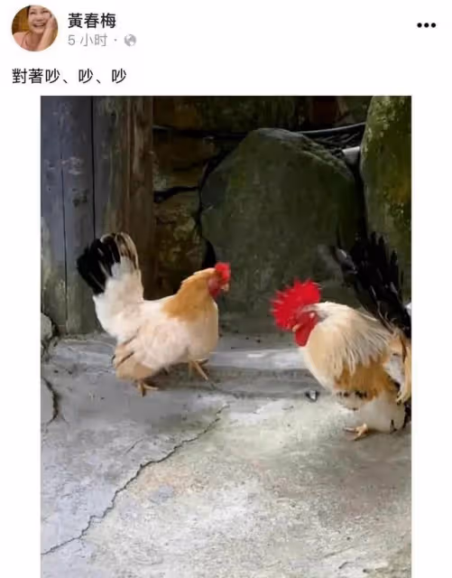 大S再婚這件事,越來越喜劇了