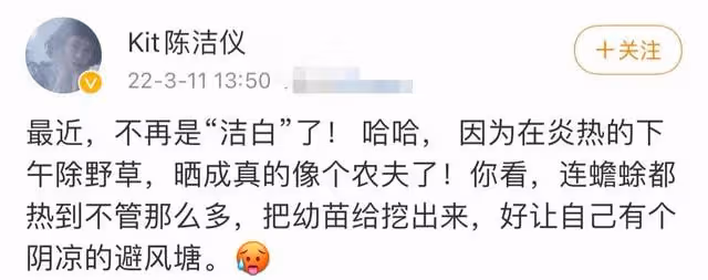 49歲女星沒工作回家干農活,戴草帽除草喂雞,表情冷漠自嘲像農夫