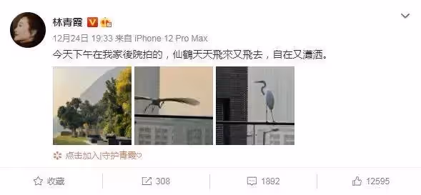 林青霞「40億皇宮別墅」曝光!「後院一覽絕美山景」還特劃農作區 驚人設施「堪比自然保留區」網友直呼:一輩子買不起