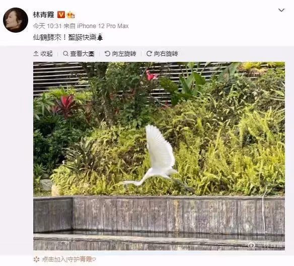 林青霞「40億皇宮別墅」曝光!「後院一覽絕美山景」還特劃農作區 驚人設施「堪比自然保留區」網友直呼:一輩子買不起