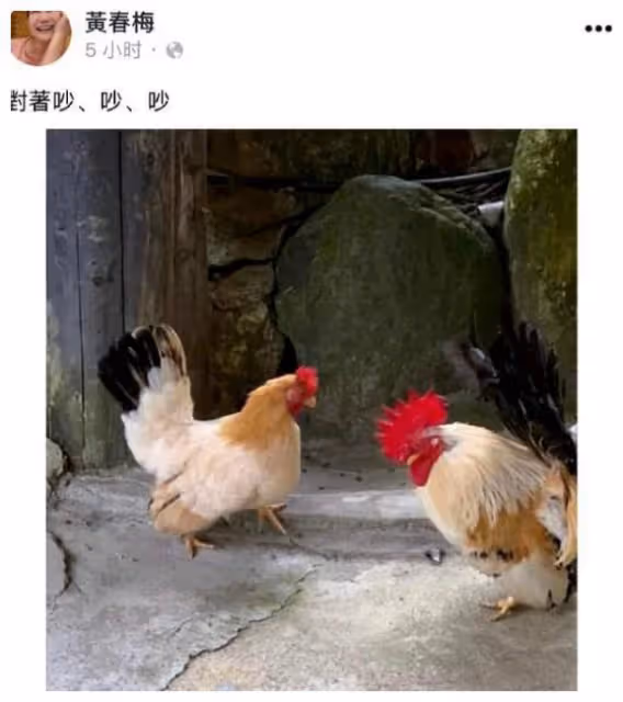 S媽隔空喊話新女婿表態度,具俊曄能否成功將大S帶回韓國