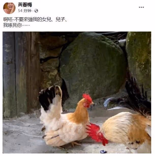 S媽隔空喊話新女婿表態度,具俊曄能否成功將大S帶回韓國