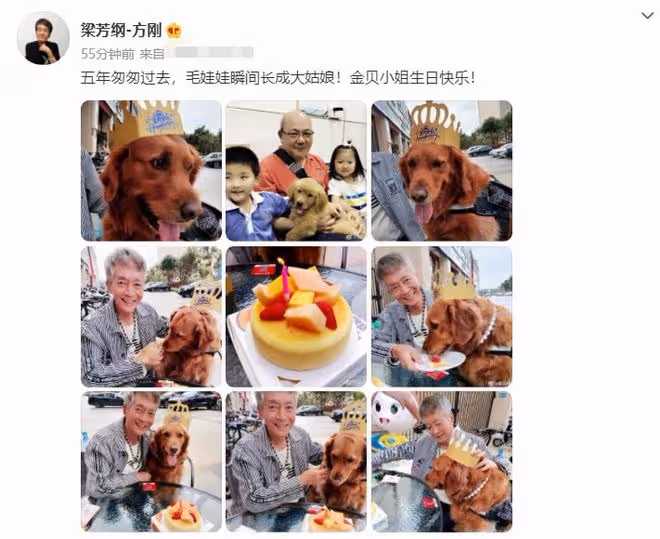 74歲方剛退休定居內地，住豪宅生活滋潤，給狗送珍珠項鍊太奢侈