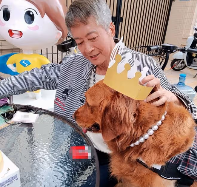 74歲方剛退休定居內地，住豪宅生活滋潤，給狗送珍珠項鍊太奢侈