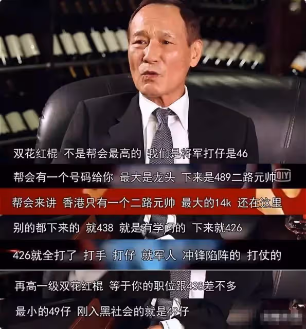 14K大佬陳慧敏談香港黑社會:等級森嚴,紅花雙棍不是最大的