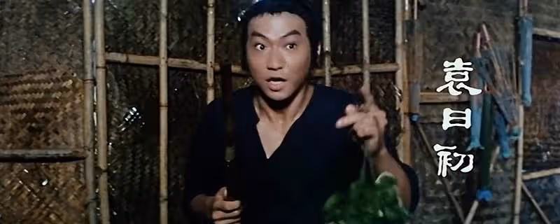 40年前，袁家班集體出動，創造了《奇門遁甲》，徐克也自歎不如