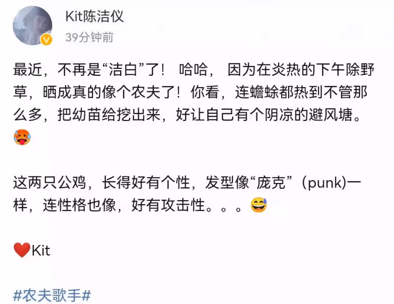 49歲國寶級女歌手停工種菜養雞,自嘲黑得像農民,期待回內地工作