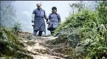 他為愛私奔,與妻隱居1500米深山養育7子女,為讓妻下山,花50年鑿出6208級臺階,真相惹人羨慕