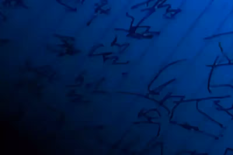 丈母娘突然不能說話!還「常寫神秘字元」專家也研究無果 直到「女婿意外破譯」:有愛才能懂