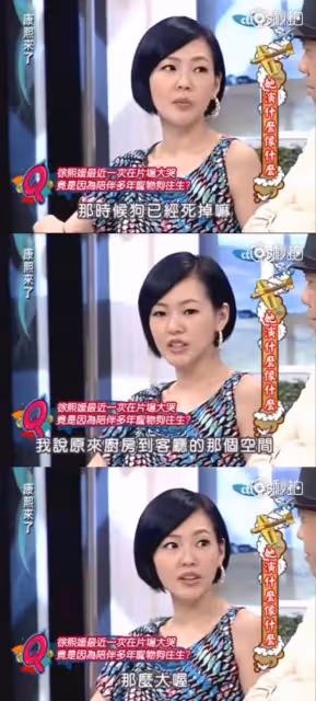 大S做過最酷的事不是閃婚,而是…養了一隻比格犬!