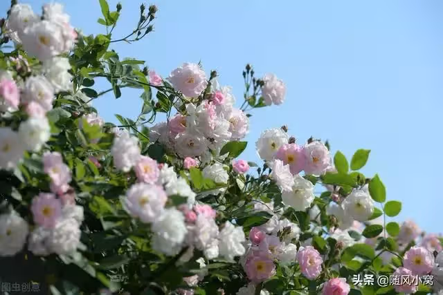 婆婆想要我媽給她伺候月子,被拒絕後,竟然把我和老公趕出了婚房