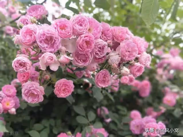 婆婆想要我媽給她伺候月子,被拒絕後,竟然把我和老公趕出了婚房