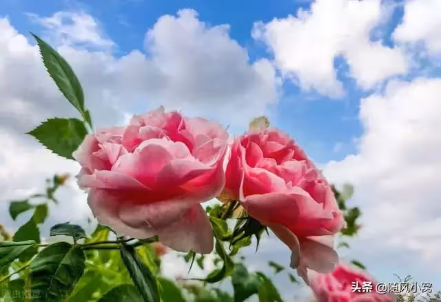 婆婆想要我媽給她伺候月子,被拒絕後,竟然把我和老公趕出了婚房