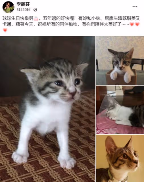 知名歌手李麗芬近況,61歲單身無兒女,見證侄女出嫁眼泛淚光
