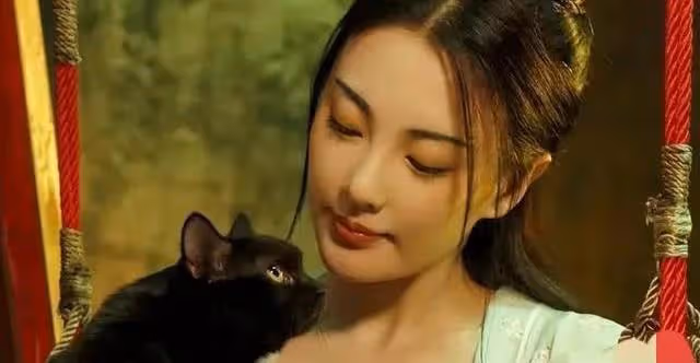 狂扇汪小菲耳光，踢王全安車門，劃傷袁巴元，張雨綺到底經歷了啥