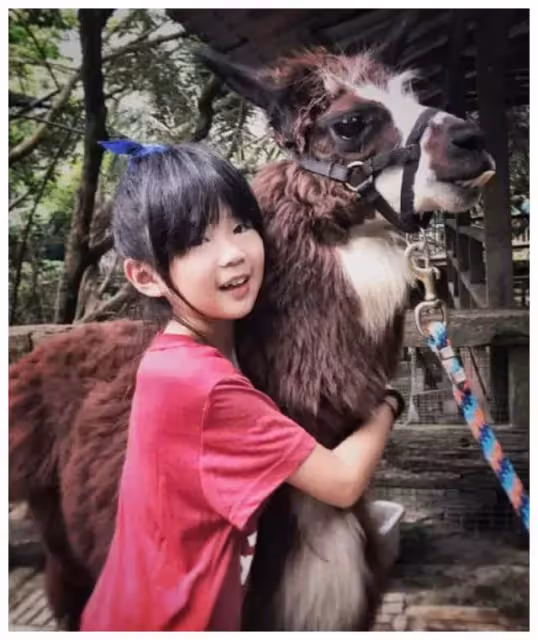 女大十八變!曾經「蠟筆小新」臉蛋的曹格女兒,如今「膚白貌美」長腿逆天:美得不敢認