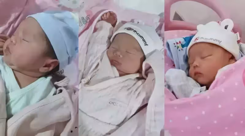 女孩瞞著母親,做試管嬰兒生下三胞胎,沒有結婚打算:喪偶式婚姻不如不要