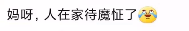 謝寧被困河北農村,宅家隔離精神快崩潰,發脾氣脫衣服大喊要上班