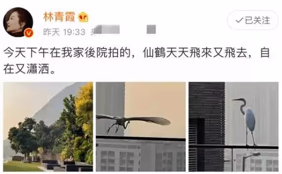 67歲林青霞隱退生活多年,擁有11億大如皇宮豪宅「三菲傭為其梳辮」,面對20年情感糾纏與半年閃婚:並不後悔當初的決定