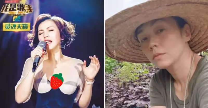 49歲國寶級女歌手停工種菜養雞，自嘲黑得像農民，期待回內地工作！