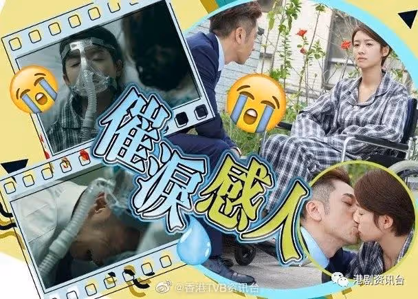 抱屍痛哭超虐心!吳卓羲未能見蔡思貝最後一面