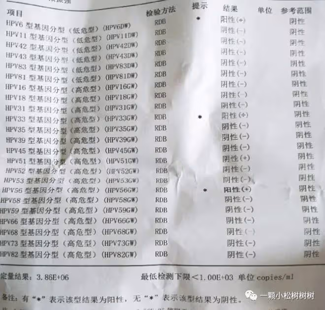（女性必看）HPV怎麼轉陰？看完這篇文章你就懂了