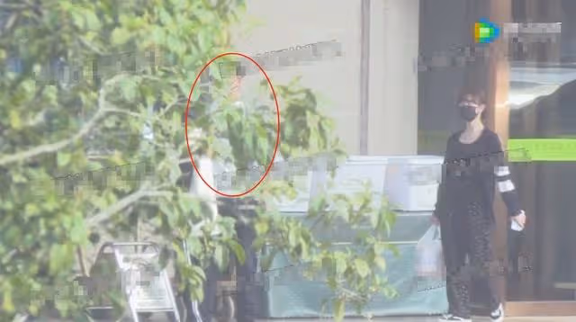 李子璇與男子同回酒店被拍!兩人形影不離,女方曾和王一博傳緋聞